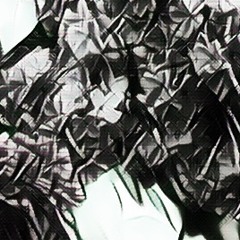 Liliac Wave Bass LWB