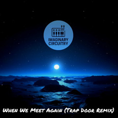When We Meet Again (Trap Door Remix)