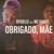 Artwork for DFIDELIZ feat. MC HARIEL - OBRIGADO MÃE, PT.2 (LT no Beat e DJ Murillo)