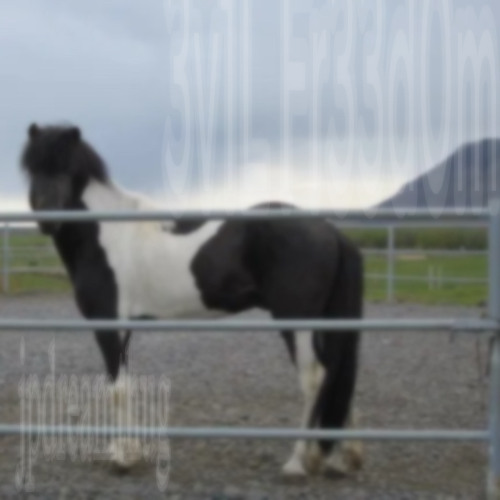 3v1L fr33d0m prod remghost