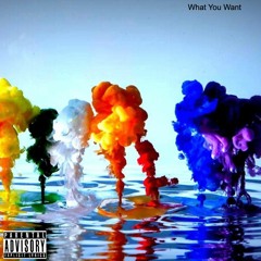 What You Want (Feat.Sumo)