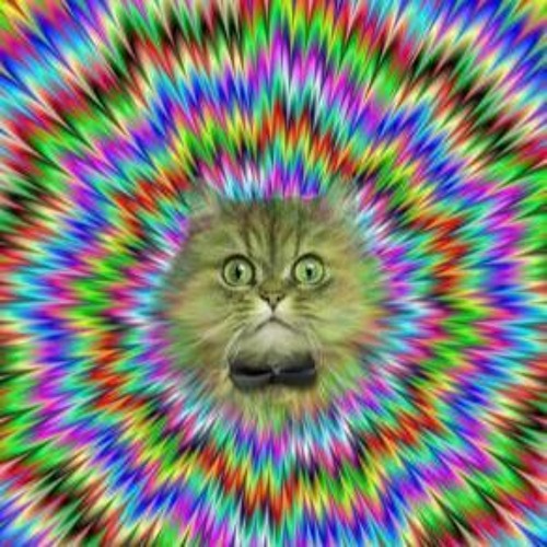 Neurofunk mix / 2021