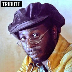 CURTIS MAYFIELD* ~DIAMOND IN THE BACK~IRREGULA HEARTBEAT~