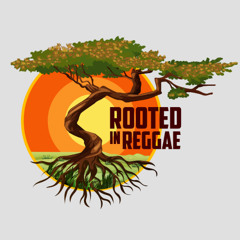 SOLID ROCK - pop up reggae shop (13th June '25)