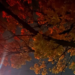 life is in the Portland metro