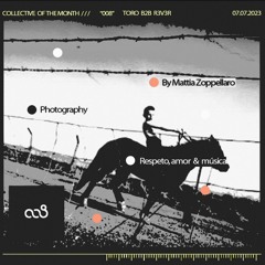 COLLECTIVE OF THE MONTH: 008 //// TORO b2b R3V3R