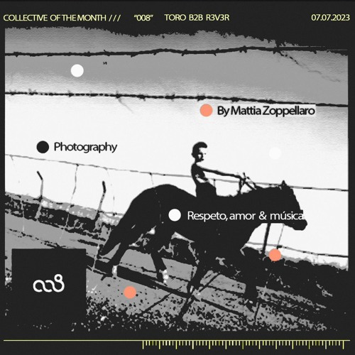 COLLECTIVE OF THE MONTH: 008 //// TORO b2b R3V3R