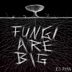 Ed Ryan - Fungi Are Big