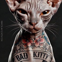 BAD KITTY