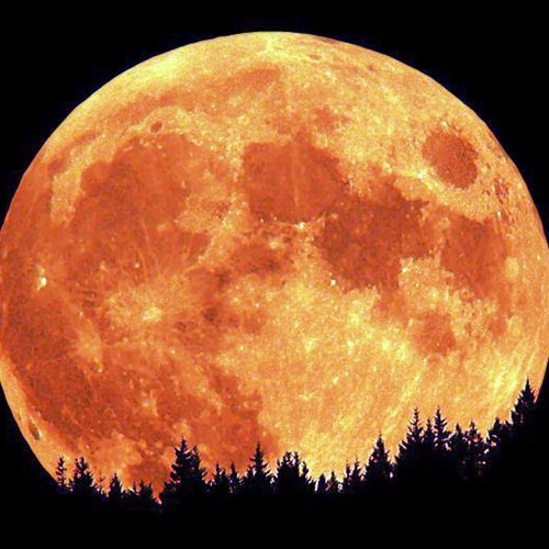 Searching For The Moon - 1:1:24, 8.04 PM