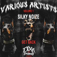 Silky Noize - Get Back ( Radio Edit )