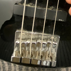there's moss on my bass guitar [The Moss Cover]