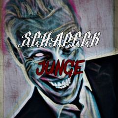 Schapeck - Die Ärzte- Junge (Remix)