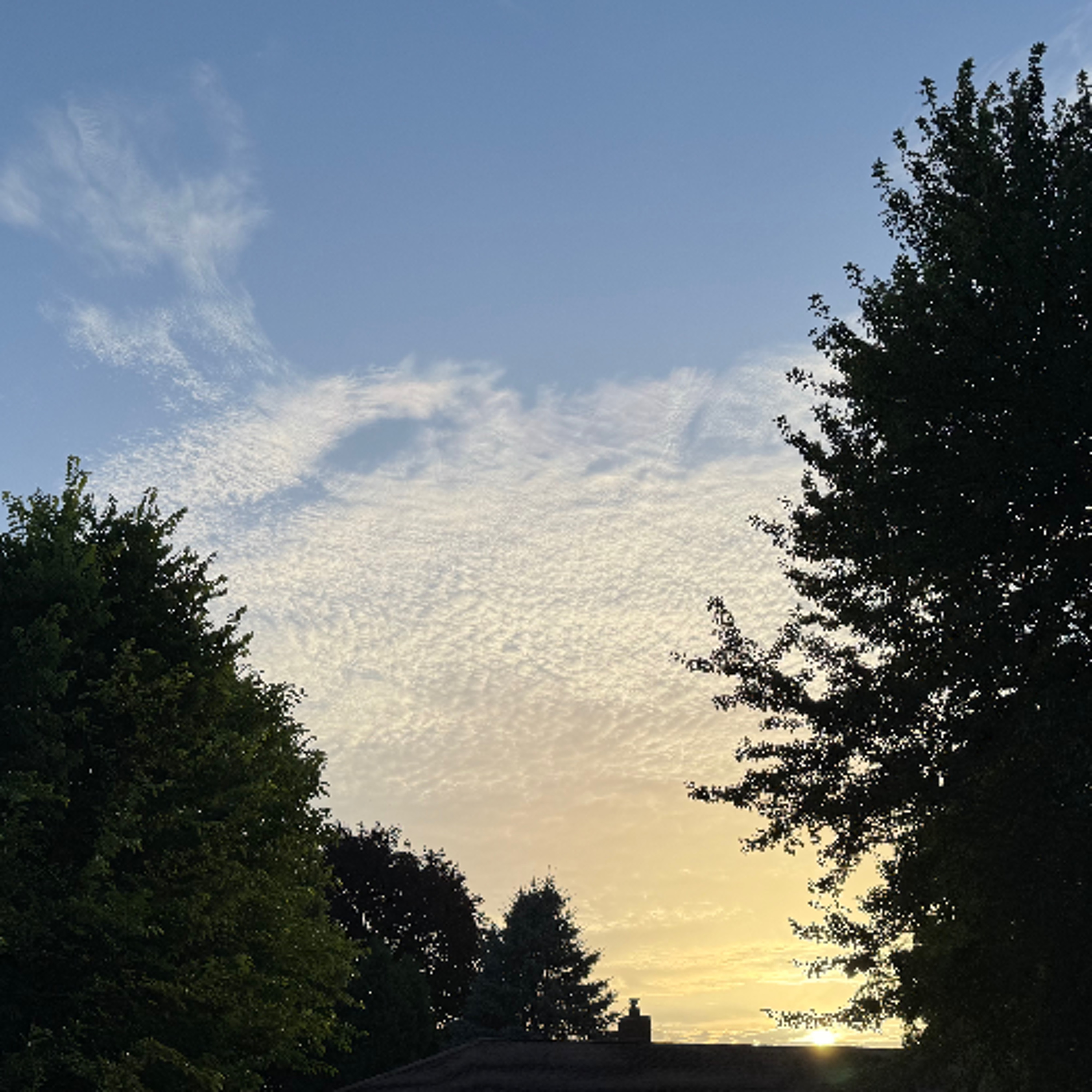 Forecast from Wednesday 7-1-26