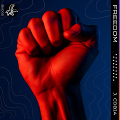 Freedom (Radio Edit)