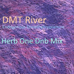 DMT River DnB