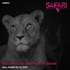 Saul Antolin - Playing To The Party (Original Mix)