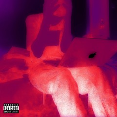 Puffin On Zootiez Remix