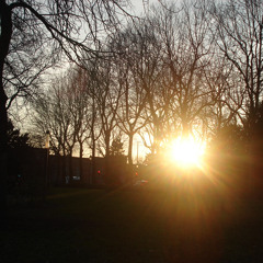 morning pages - the japanese house (cover).m4a