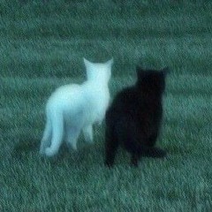 Remember ( 6:00 ) - r4in