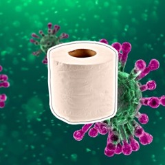 Toilet Paper