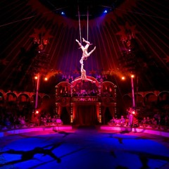 Enter at your own risk. [Intro Preview]