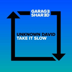unknown david - Take It Slow