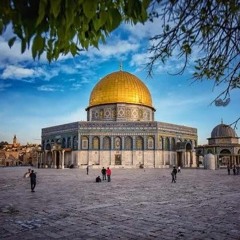 غزة اليوم تنادي مع اكشن 2024