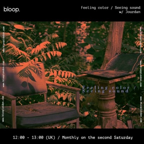 Feeling color / Seeing sound w/ Jourdan - 11.03.23