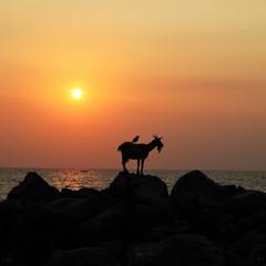 Orchid Island – 蘭嶼與海