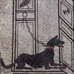 Dogs in the Ancient World