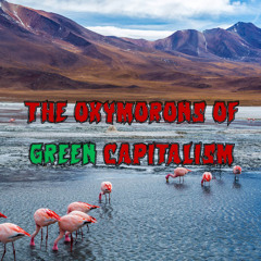 425. The Oxymorons of Green Capitalism (ft. Thea Riofrancos)