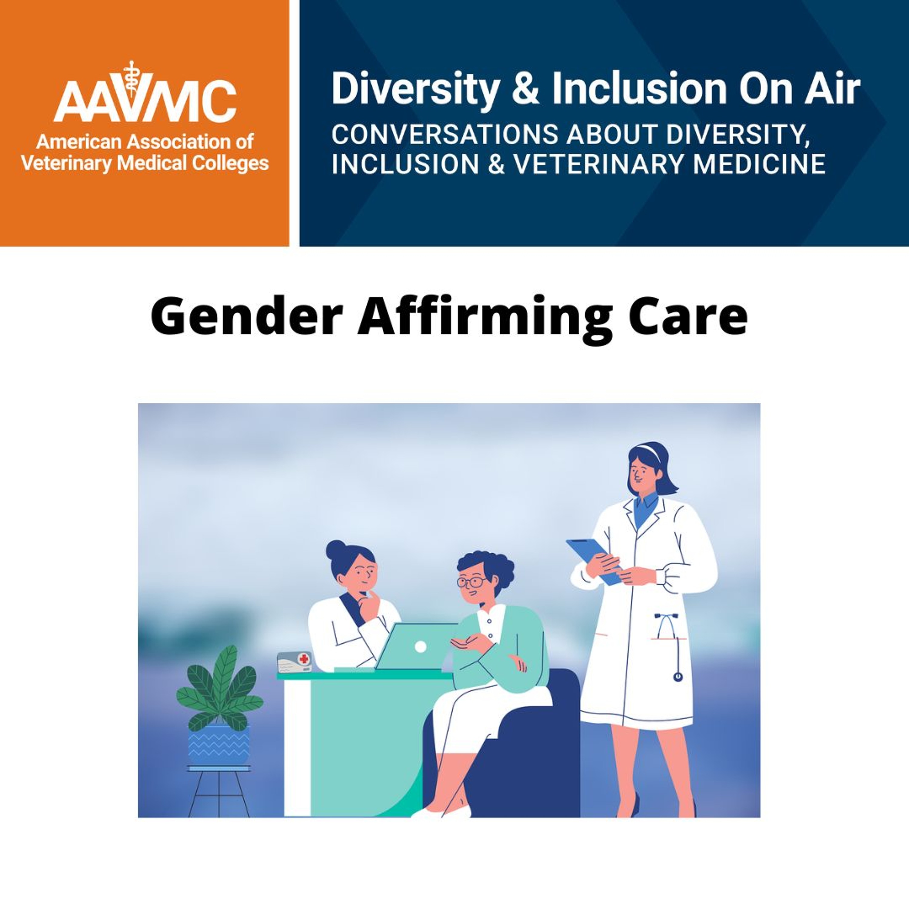 AAVMC\'s On Air: Conversations about Issues in Veterinary Medicine