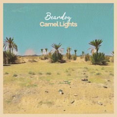 MOMR020 - Beardog - Camel Lights