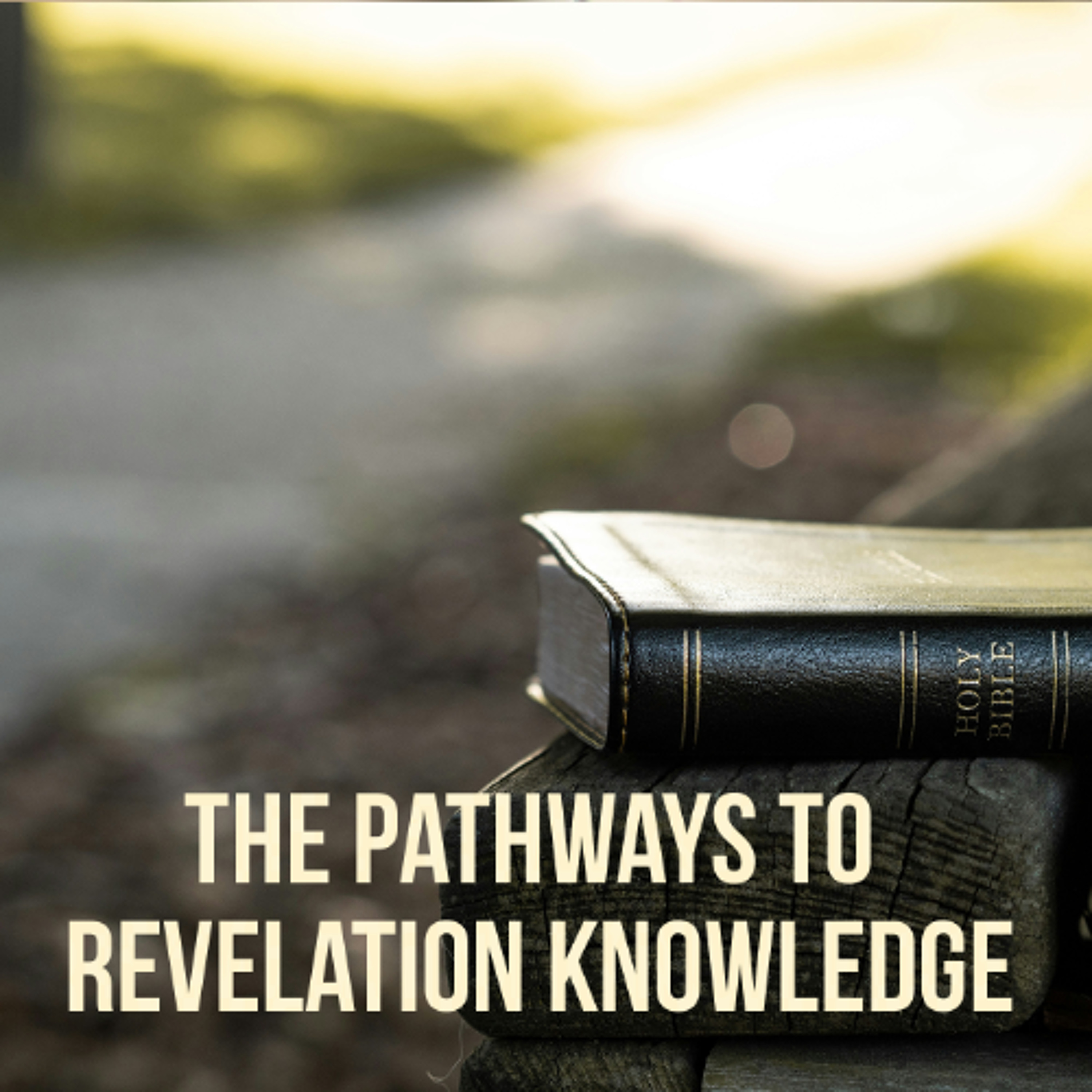 The Pathways to Revelation Knowledge - Part 1 episode artwork