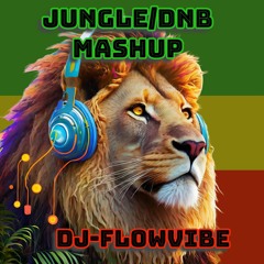 DJ FlowVibe - Mashup Jungle