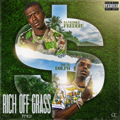 Bankroll Freddie - Rich Off Grass (Remix) [feat. Young Dolph]
