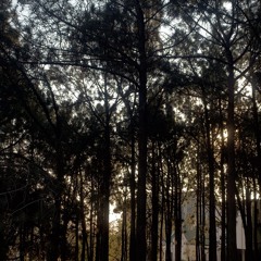 marni6nly - rum [ feelin ya ]