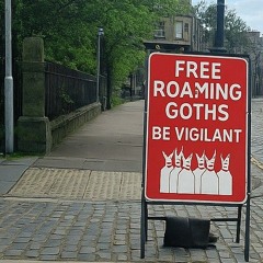 What Do We Have To Show For It?