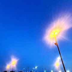 Sliced Piano and Cheese