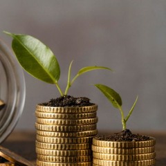 Protect Your Wealth with Unbiased Advice