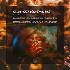 Chapter CXIX : 5h00 Flying Soul