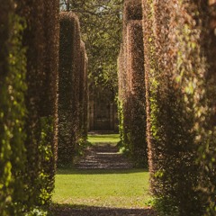 Labyrinth