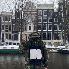 Palo Santo Discos 011225