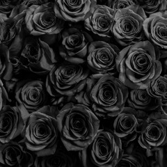 BLACK ROSES Ft Bavinci