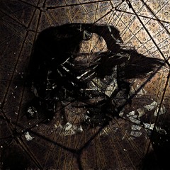 𝙬𝙝𝙤𝙨𝙚 𝙩𝙧𝙞𝙥 𝙞𝙨 𝙩𝙝𝙞𝙨