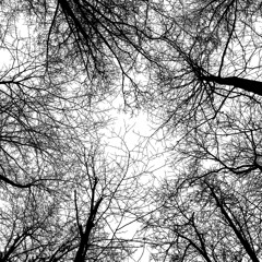 Underneath
