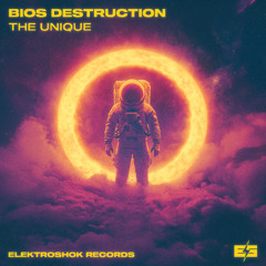 Bios Destruction - Defenders