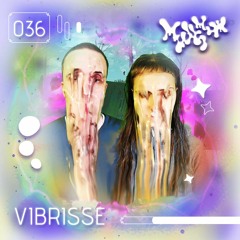 multimix_036_VIBRISSE