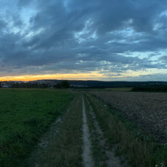 Vitality
